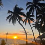 John Molinaro - @john.molinaro.180 - Instagram