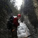 John Mollison - @john.mollison.395 - Instagram