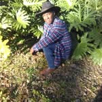 John Molo - @jamolo1963 - Instagram