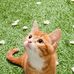 John Mondi - Facebook