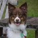 John Mongeau - Facebook