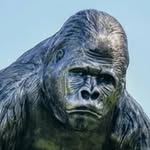 John Monger - @monger422 - Instagram