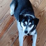 John Monger - @john.monger.505 - Instagram