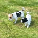 John Monger - @monger1897 - Instagram