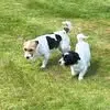 John Monger - @john.monger5 - TikTok