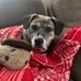 John Mongillo - Facebook