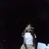 john monreal - @theylovejana1 - TikTok