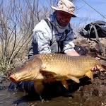 Carp On The Fly - @johnmontanacarp - Instagram