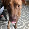 John_Antonelli - @john_antonelli - TikTok