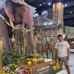 John Joshua Montante Rapisura - @josh.waa___ - Instagram
