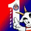 johnmontesinos433 - @johnmontesinos433 - TikTok