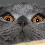 @john.montreal2 - Instagram