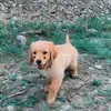 John Moodler - @johnmoodler - TikTok