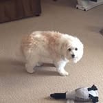 John Mook - @mook.john - Instagram