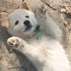 John Moon - @john.moon8 - TikTok