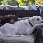 John Moors - @john.moors.58 - Instagram