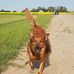 John Moors - Facebook