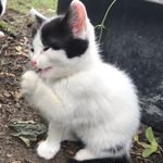 John Morath - @katter_gillar_jag - Instagram