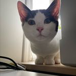 John Morath - @morathjohn1 - Instagram