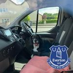 John Moreton - @johndavidmoreton - Instagram