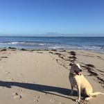 John Moreton - @moreton892 - Instagram
