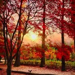 JOHN MORGAN - @johnmorgan5193 - Instagram