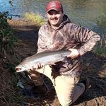 John Morganti - @guccibonsai - Instagram