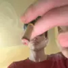 John Morigl - @johnmorigl2 - TikTok
