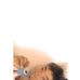 John Morillo - Facebook