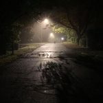 John Morley - @johnmorley - Instagram