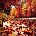 john Morrison - @john_morrison.uu1 - Instagram