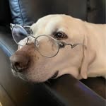 John Morrone - @john.morrone0 - Instagram