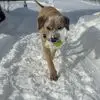 John Mortimer - @john.mortimer3 - TikTok