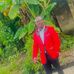 John Mosco - Facebook