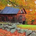 John Moser - @johnmoser41 - Instagram