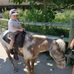 John Moser - Facebook