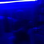 John - @john_motz13 - Instagram