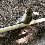 johnmoulinette - @johnmoulinette - Instagram