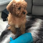 John Mowbray - @johnmowbray30 - Instagram