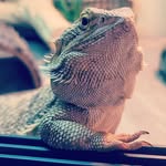 John Mowbray - @johnhmowbray0427 - Instagram