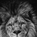 Maina John - Facebook