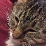 John Mullarkey - @johnm12342 - Instagram