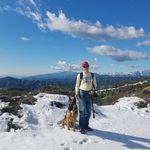 John Mulvihill - @jmulvihill953 - Instagram
