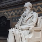 John Mulvihill - @mulvihill4636 - Instagram
