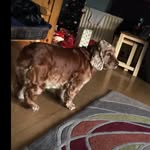 Offical Cian O’bren - @johnmulvihill_69 - Instagram