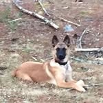 John Munger - @john.munger - Instagram