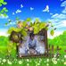 John Kkom - Facebook