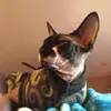 John.Munley - @super.bing.chilling - TikTok