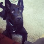 John Munsterman - @john.munsterman.7 - Instagram