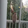 John Munter - @john.munter - TikTok